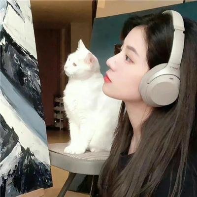 关于我家的一切