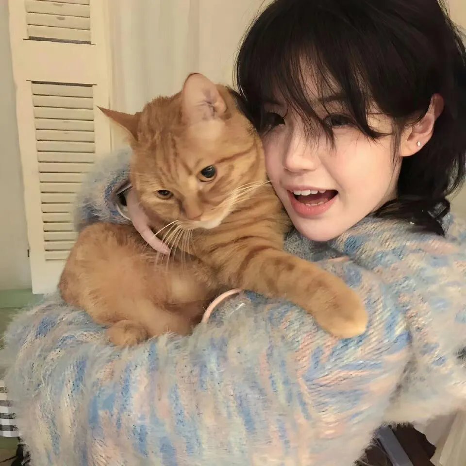 天才麻将少女 全国篇